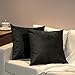 OSVINO Confezione da 2 Federe in Velluto Copricuscini Decorativi Fodere Quadrate per Cuscini per Divano Camera da Letto Casa, Nero, 65x65cm
