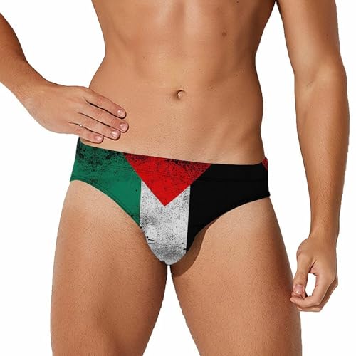 Zakqeik Mens Swim Briefs Swimwear Loose Bikini Swimsuit Striped Print Bathing Suit