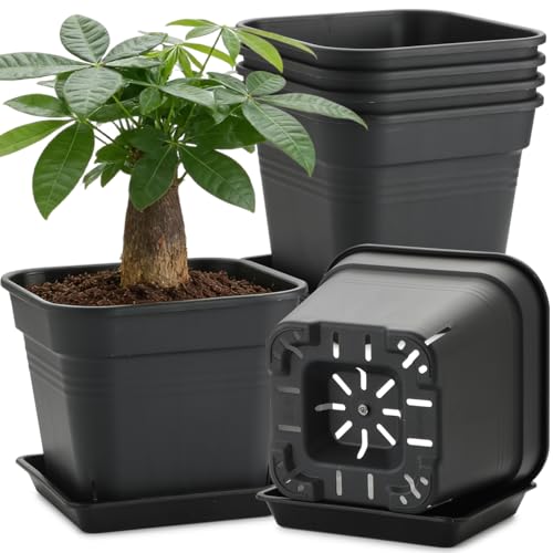8'' Square Planters with Trays - 6 Pack Heavy Duty Plastic Plant Pots, 24 Strip Drainage Holes for Root Aeration & Prevention of Root Rot, Raised Bottom Airflow Center, BPA-Free Black Flower Pots