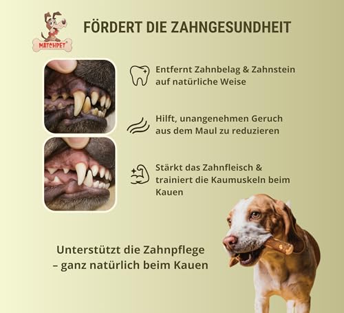 Olivenholz für Hunde Mittel 2 Stück Kauholz Mittlere Holzknochen als Hundespielzeug Kauspielzeug Hund