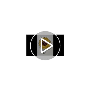 Markfeldsteinassociatessunflowerwithswingingbeependulumpalwallclock12inch  Urban Country Home Decor Mark feldstein associates sunflower with swinging bee pendulum pal wall clock 12 inch  urban country home decor