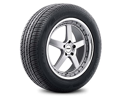 Thunderer MACH I R201 All-Season Radial Tire - 225/60R15 127H