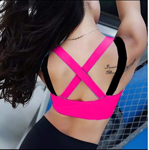 Image of Dilency Sales Racer Back Sports Bra for Women's /Girls (Gym,Yoga,Running,Workout) (Removable Pads) (30 to 34 Size)