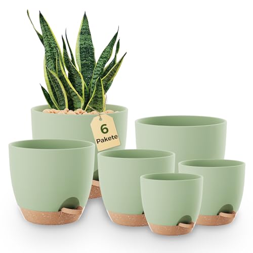Bamworld Macetas Autorriego de Interior, Tiesto de Plástico con Base Integrada, Pack de 6 (20/18/17/15/14/13 cm), para Cocina, Balcón, Jardín y Vivero Interior macetas Verde