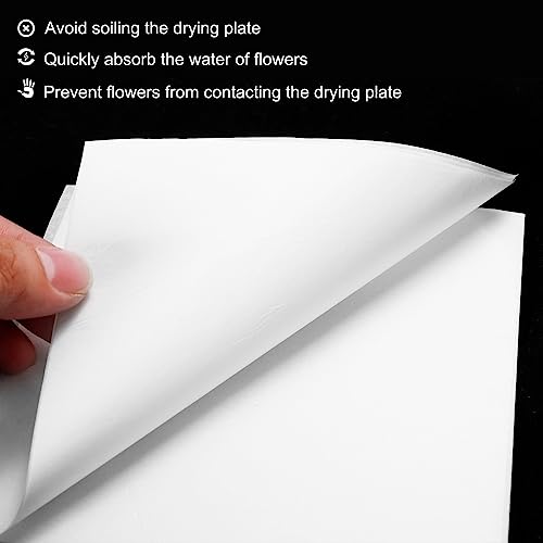 PATIKIL 8"x6" Flower Press Paper - Image 4