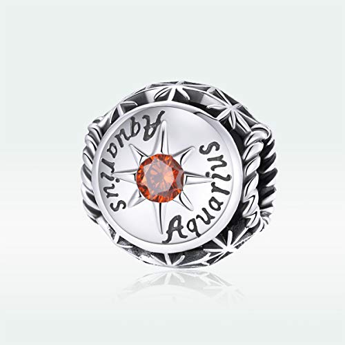 Image of 12 Constellation Charms 925 Sterling Silver Crystal Zircon Charms Family and Friends' Birthday Charm Birthstone Charms for Women Bracelets