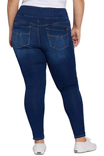 Seven7 Women's Plus Size Tummy Toner Skinny2