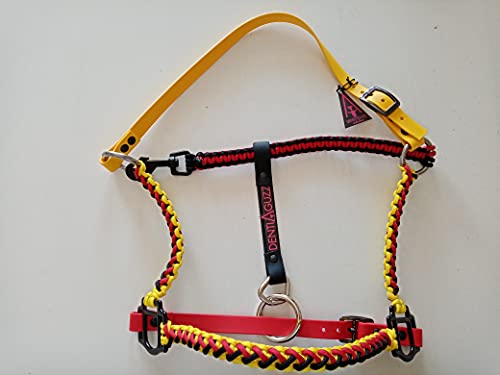 Cabezada Aguzzi de Biothane ideal para paseos y rutas a caballo 3