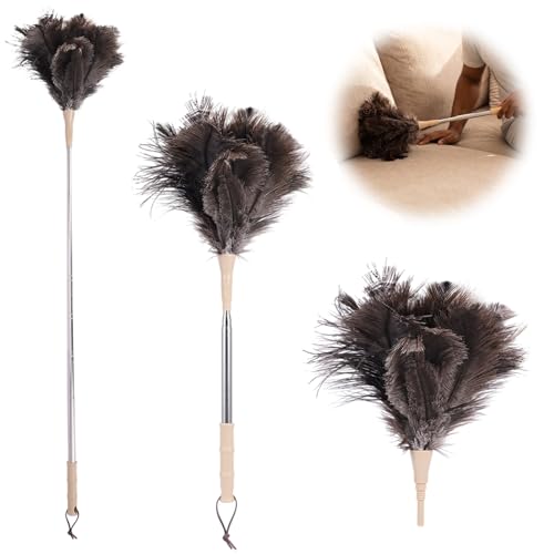 Plumero Extensible Plumas de Avestruz,Mango Bambú,Acero Inoxidable,Cabeza Intercambiable,Gancho y Cepillo,para Lámparas,Ventiladores,Muebles,Pantallas, Persianas y Marcos de Fotos