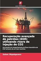 Recuperação avançada de petróleo (EOR) utilizando risers de injeção de CO2 (Portuguese Edition) 6208927064 Book Cover
