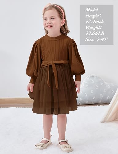 Toddler Girl Tulle Dress Puff Long Sleeves Tutu Dresses with Tie Belt for Princess Brithday Party 1-6T3