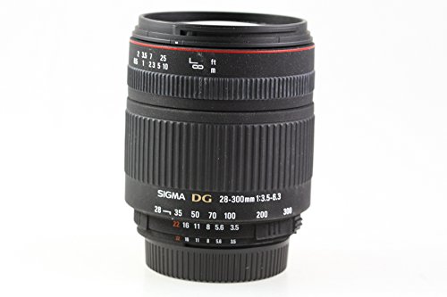 シグマ 28-300mm F3.5-6.3 DG MACRO ニコン用