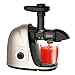 Produktbild Slow Juicer, Picberm,Entsafter BPA-frei mit 2 Geschwindigkeitsmodi Entsafter Gemüse und Obst Ruhiger Motor und Umkehrfunktion und Reinigungsbürste Champagne