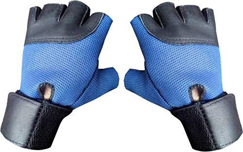 JMO27Deals Gym Gloves | Sports Gloves | Fitness Gloves | Training Gloves |Exercise Gloves | Weight Lifting Gym & Fitness Gloves (Free Size, Blue) (B07S84R72X) Amazon Price History, Amazon Price Tracker