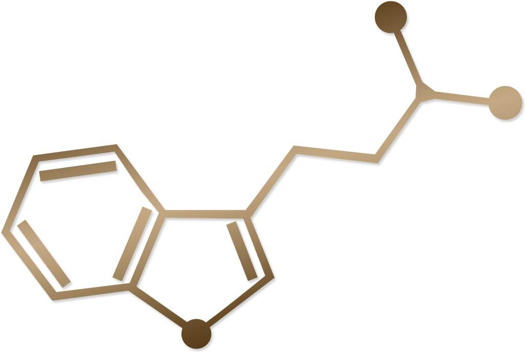 Pun DMT Dimethyltryptamin Chemische Verbindung Skelett Formel