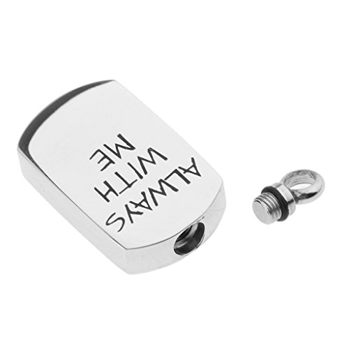 Esquirla Pingente de cremação Always with Me, urna de lembrança, urna para cães, suporte de cinza