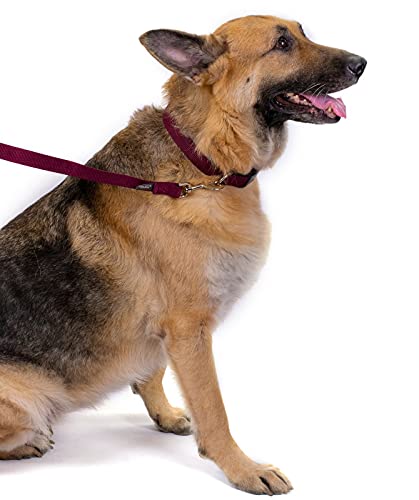 Country Brook Petz - 1 Inch Solid Color Nylon Dog Leash - Durable Clip - Soft Handle (1 Inch Wide, 6 Foot, Burgundy) #TOP5