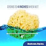 Baby Buddy Natural Wool Sea Sponge, Newborn Bath Time Essential, Ultra Soft for Delicate Skin, Hypoallergenic and Biodegradable, 2 Pack - Image 4