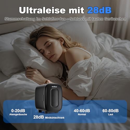 Enventor Mini Kühlschrank, 4 Liter/6 Dosen, Tragbarer Kühler und Wärmer, AC+12V DC-Stromversorgung, Kleiner Kühlschrank für Schlafzimmer, Auto, Hautpflege, Obst und Getränke, Schwarz