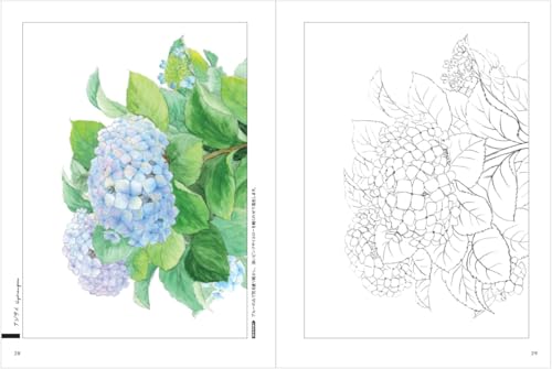 日本ヴォーグ社 大人の塗り絵BOOK 四季の草花