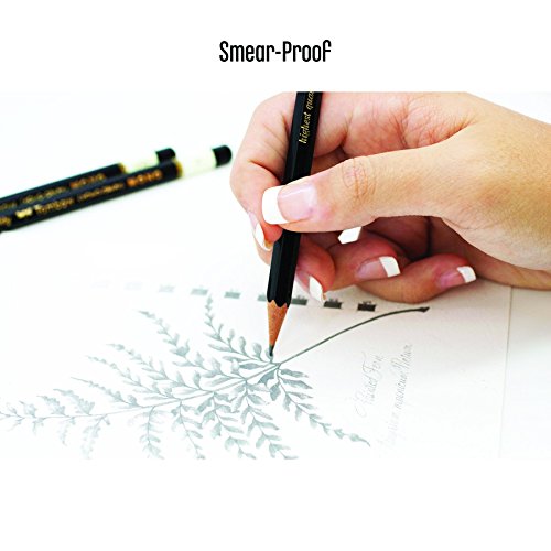 Tombow 51504 MONO Drawing Pencil, 5B, Graphite, 12-Pack - Thumbnail 2