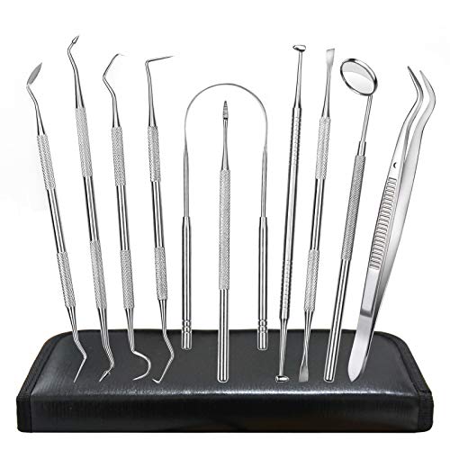 Dental Tools, 10 Pack Dental Picks Teeth Cleaning Oral Care Kit, Stainless Steel Calculus Plaque Remover Hygiene Set, Dental Mirror Tartar Remover Scraper Tooth Pick for Dentist Personal Pet Home Use
