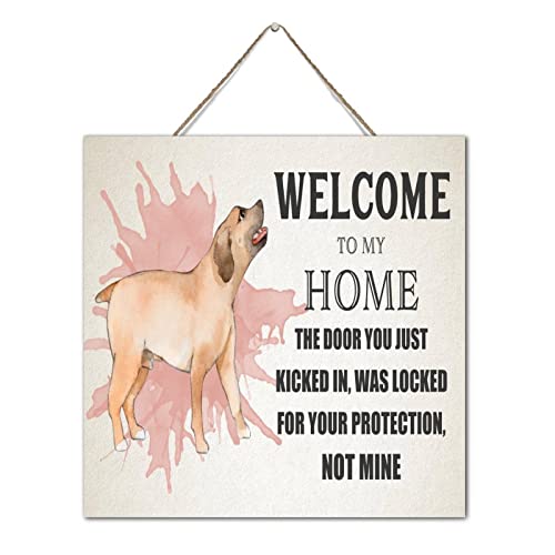 Targa in legno con scritta welcome to my home da appendere in legno