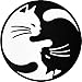 Kung Fu Cat Set 2 Pcs. Of Papapatch Cat Yin Yang Kung Fu Chinese Estonia Ying Yang Wall Stickers