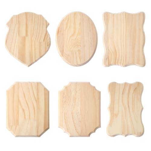 Yinkin 12 Pcs Blank Wooden Plaques for Crafts Unfinished Wood Signs for DIY Projects Hanging Signs 6 Styles for Weddings Home Decor and Door Wall Art Activities Decoration(White)