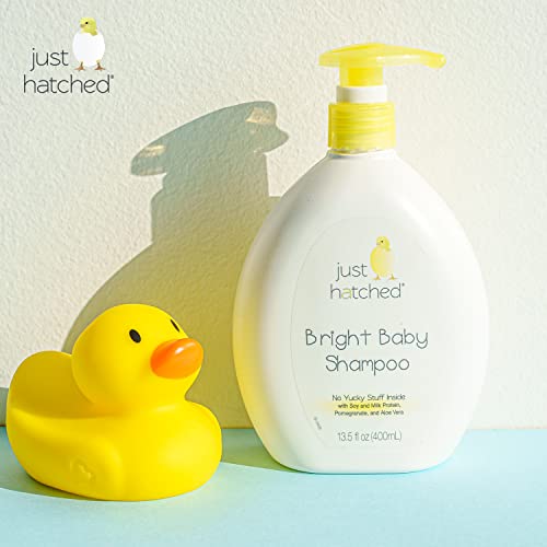 Just Hatched Bright Baby Shampoo Multi-Pack - Gentle Hair Cleanser, Loveable Yummy Fragrance, Gentle For Newborns, Hypoallergenic, Gluten Free, No Yucky Stuff & Harsh Ingredients, 13.5 Fl Oz (2 Pack) #TOP5