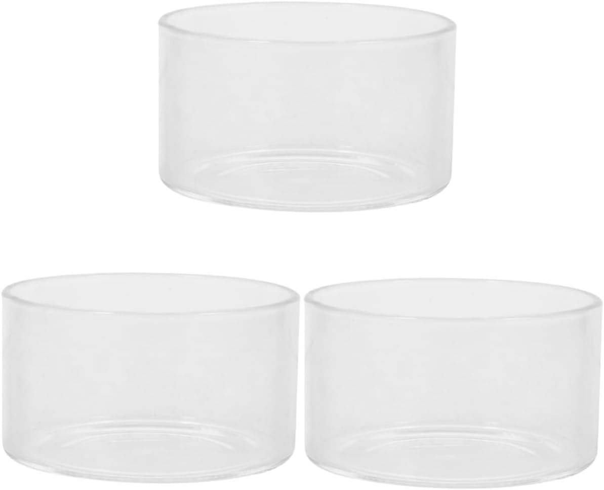 BESPORTBLE 3pcs Micro Landscape Plants Propagation Vase Clear Pots for