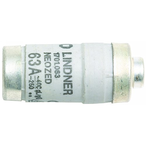 Rational 3019.0405 - Fusible (neoizado, 63 A)