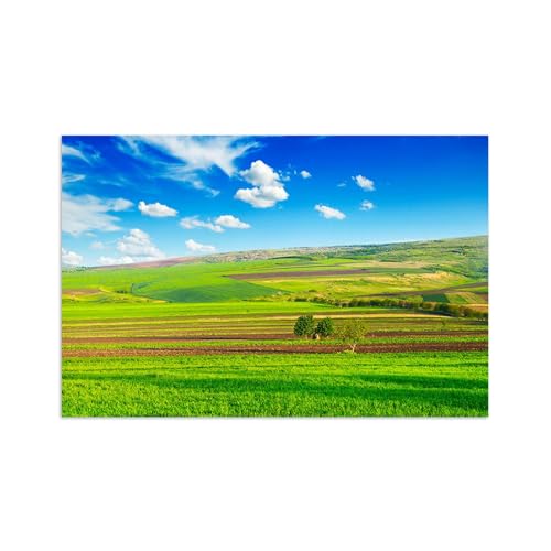 Toile nature paysage de campagne pour décoration murale salon et chambre adulte 120x80