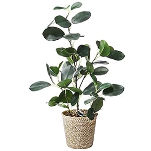 SAROSORA Artificial Ficus Tree Fake Plants in Weaved Pot 20″ Height for Living Room Decor Indoor Home Office Ins Style (Green, 1)
