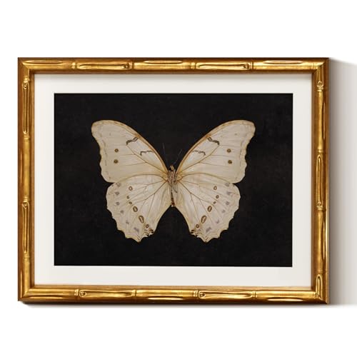 InSimSea Gold Bamboo Framed Canvas Wall Art, Retro White Butterfly Animal Paintings, Antique Vintage...