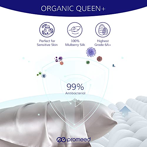 Promeed 22 Momme Pink Silk Pillowcase Toddler/Travel Size, Both Sides Oeko Certified Natural Mulberry Silk Pillow Case Covers With Hidden Zipper (Toddler/Travel 13"X18", Pink) #TOP1