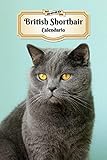  2020 British Shorthair Calendario: 107 Páginas  Tamaño A5  Planificador Semanal  12 Meses  1 Semana en 2 Páginas  Agenda Semana Vista  Tapa Blanda  Gato