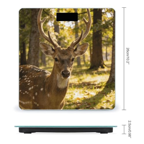 Báscula Digital de Baño con Pantalla LED y Plataforma de Vidrio Templado miniatura 2