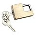 Reese Towpower 7005300 Brass Coupler Lock