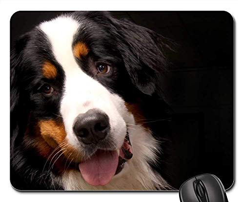 Gaming Mouse Pads,Mouse mat,Bernese Mountain Dog Dog Animal Dear Good