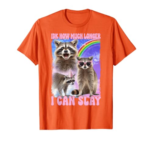 IDK How Much Longer I Can Slay Meme Raccoon Funny T-Shirt, Men, Orange, Large