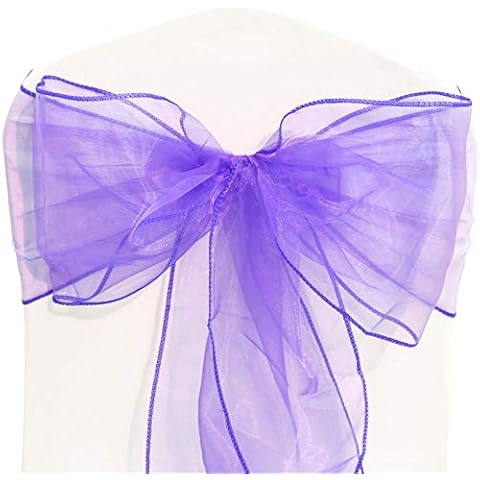 Time to Sparkle Amethyst Organza Sashes Cover