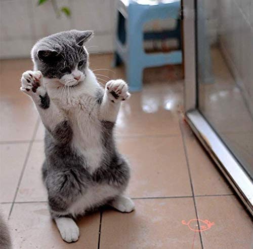 レーザーポインターの人気おすすめランキング選 強力 最強 セレクト Gooランキング