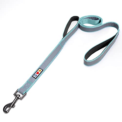Pawtitas Double Handle Dog Leash Heavy Duty For Training No Pull Leashes Ideal For Medium And Large Dogs | Great For Walking, Running & Training Dog Leash - Medium/Large - Teal #TOP29