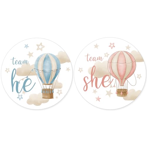 Hot Air Balloon Team He Or Team She Stickers
