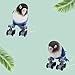 CHENGBEI Parrot Bird Toy Desktop Roller Skates Parakeet Intelligence Training Game Education Toy for Small Birds Bird Toy Sets for Parakeets