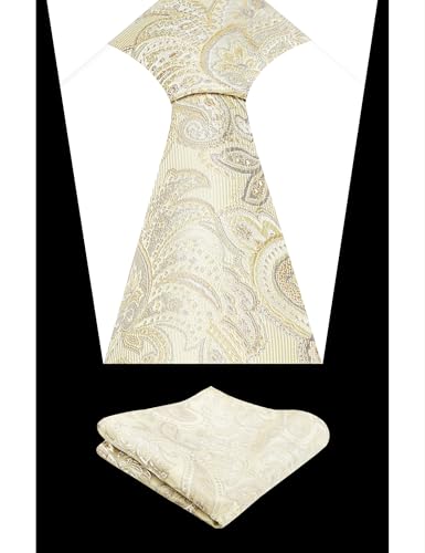 Image of Alizeal Mens 3.15'' Vintage Paisley Tie Pocket Square Set | Elegant Perfect for Banquet Wedding and Party