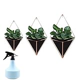 EINFACHE INSTALLATION: Unser dekoratives Blumenkasten-Set enthält die Schrauben, mit denen Sie die geometrischen Vasen einfach an Ihren einsamen Wänden anbringen können. Da der Messingdrahtrahmen den geometrischen Topf an Ihrer Wand hält, ist es so einfach, ihn so oft zu reinigen und neu anzuordnen, wie Sie möchten. Und sollten Sie die Hängepflanzen wechseln wollen, ziehen Sie einfach die Mini-Vase aus dem Messingrahmen - ohne dass Sie sie aus- und wieder einschrauben müssen.