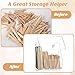 300 Pcs Wood Wax Applicator Kit 4 Style Wax Applicator Sticks with 4 Compartments Waxing Sticks Organizer Small Medium Large Waxing Applicators Waxing Sticks Assorted for Body Legs Face Nose Eyebrows