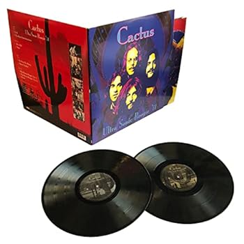 Vinyl Ultra Sonic Boogie Book
